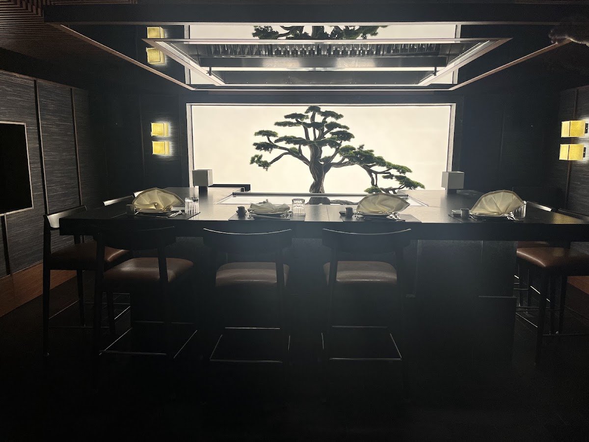 Teppanyaki Barı