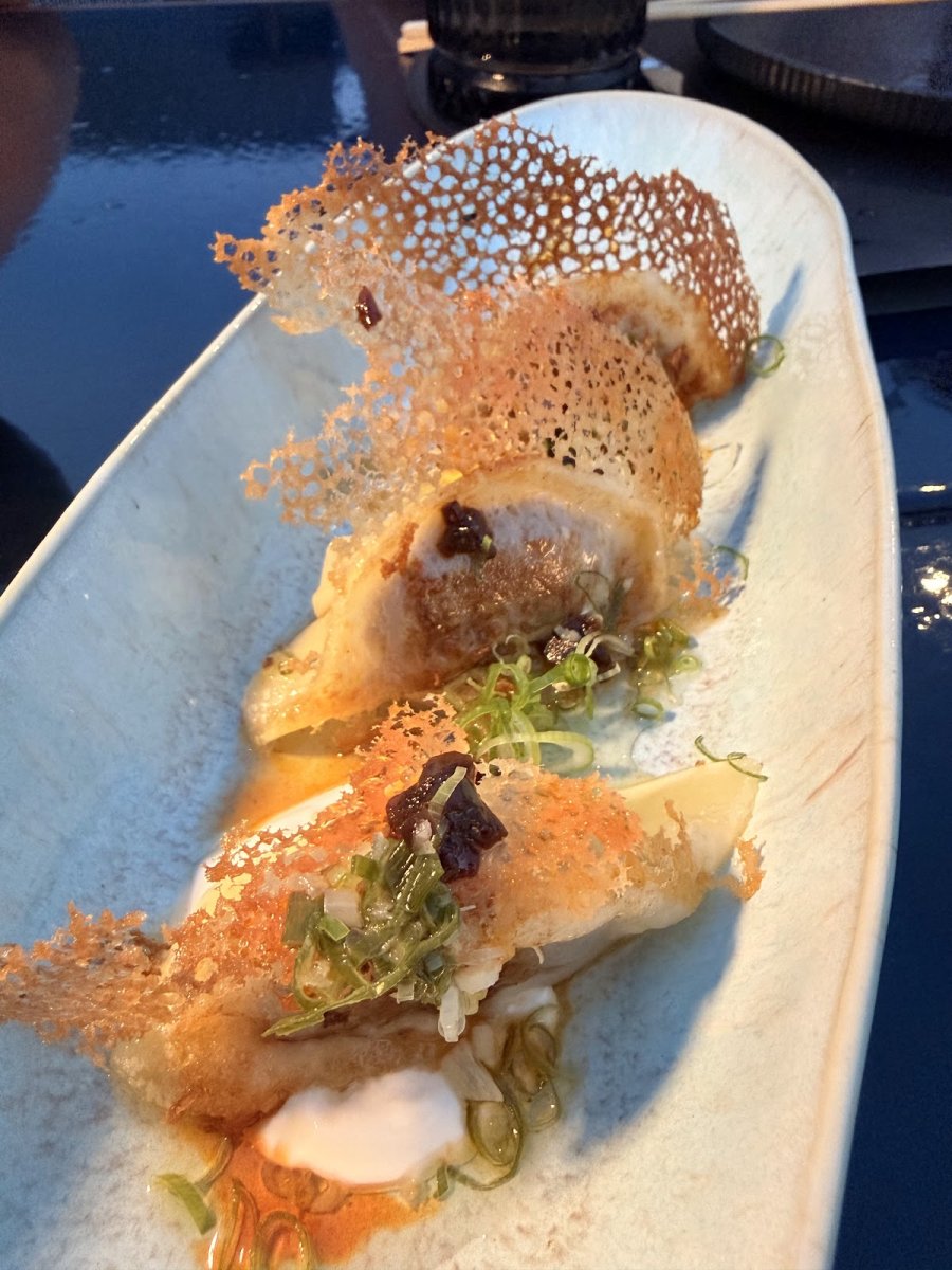 Miso Siyah Morina